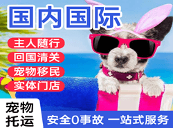 西宁机场托运国际宠物托运 【国